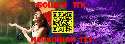 крисы Кунгур
