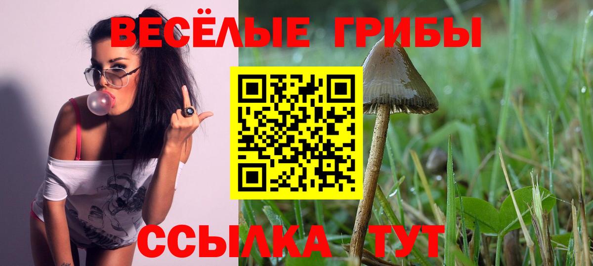 Галлюциногенные грибы Psilocybine cubensis Каменск-Уральский